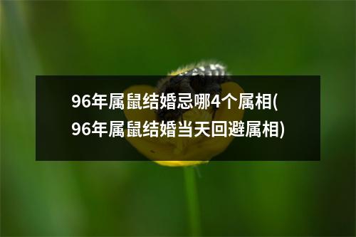 96年属鼠结婚忌哪4个属相(96年属鼠结婚当天回避属相)