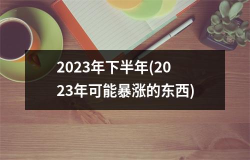 2023年下半年(2023年可能暴涨的东西)