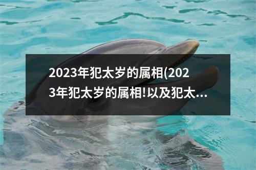 2023年犯太岁的属相(2023年犯太岁的属相!以及犯太岁的禁忌)