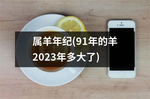 属羊年纪(91年的羊2023年多大了)