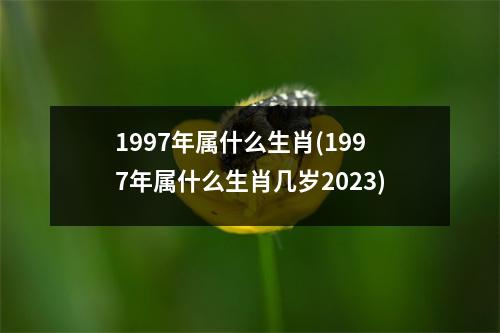 1997年属什么生肖(1997年属什么生肖几岁2023)