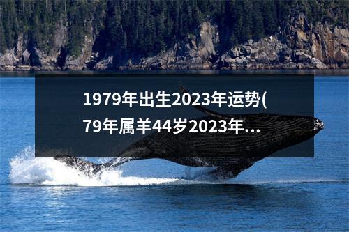 1979年出生2023年运势(79年属羊44岁2023年婚姻运势)