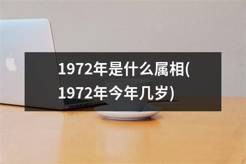 1972年是什么属相(1972年今年几岁)