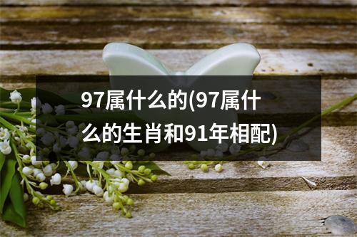 97属什么的(97属什么的生肖和91年相配)