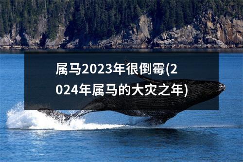 属马2023年很倒霉(2024年属马的大灾之年)