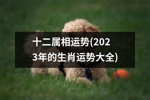 十二属相运势(2023年的生肖运势大全)