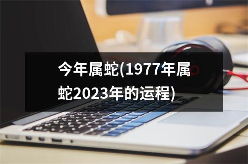 今年属蛇(1977年属蛇2023年的运程)