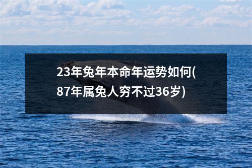 23年兔年本命年运势如何(87年属兔人穷不过36岁)