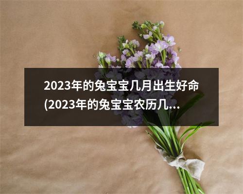 2023年的兔宝宝几月出生好命(2023年的兔宝宝农历几月出生好命运)