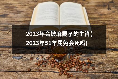 2023年会披麻戴孝的生肖(2023年51年属兔会死吗)