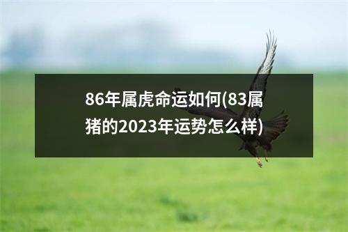 86年属虎命运如何(83属猪的2023年运势怎么样)