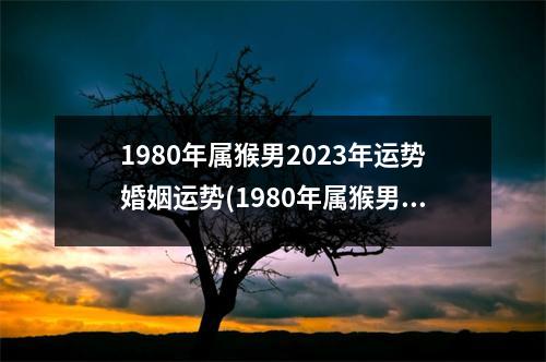 1980年属猴男2023年运势婚姻运势(1980年属猴男人终身婚姻如何)