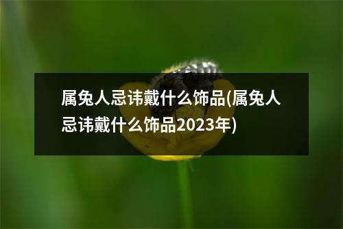 属兔人忌讳戴什么饰品(属兔人忌讳戴什么饰品2023年)