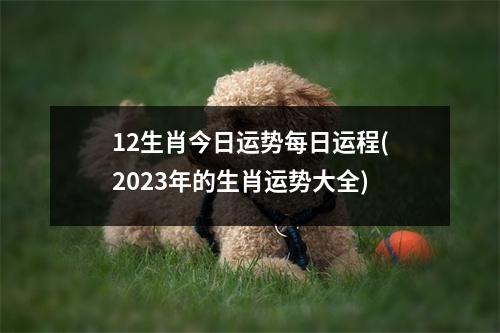 12生肖今日运势每日运程(2023年的生肖运势大全)