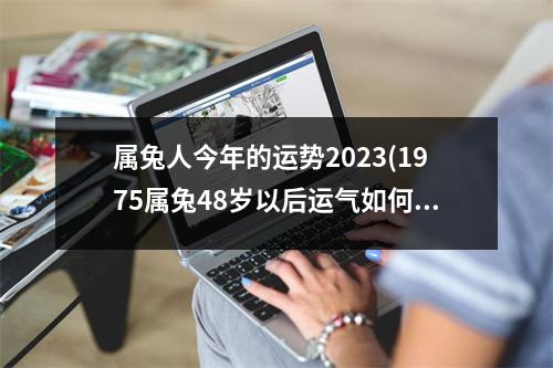 属兔人今年的运势2023(1975属兔48岁以后运气如何)