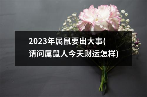 2023年属鼠要出大事(请问属鼠人今天财运怎样)