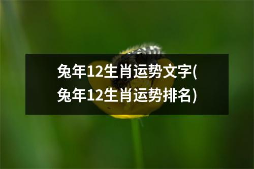 兔年12生肖运势文字(兔年12生肖运势排名)