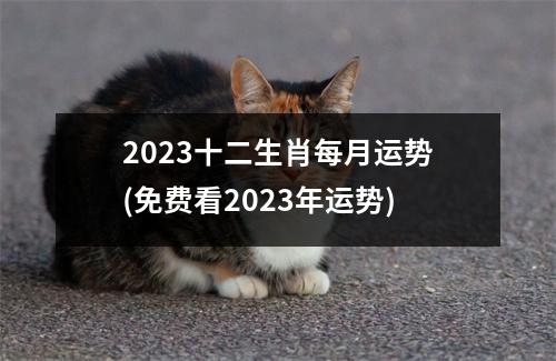 2023十二生肖每月运势(免费看2023年运势)