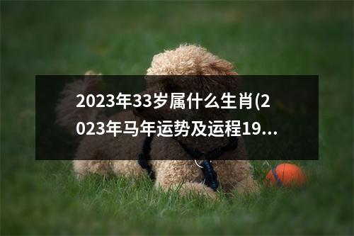 2023年33岁属什么生肖(2023年马年运势及运程1990年生人)