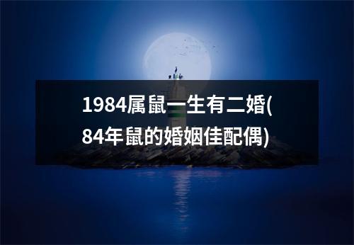 1984属鼠一生有二婚(84年鼠的婚姻佳配偶)