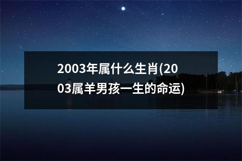 2003年属什么生肖(2003属羊男孩一生的命运)