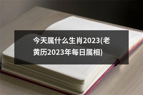 今天属什么生肖2023(老黄历2023年每日属相)