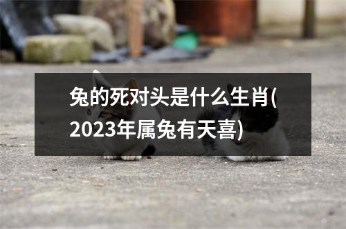 兔的死对头是什么生肖(2023年属兔有天喜)