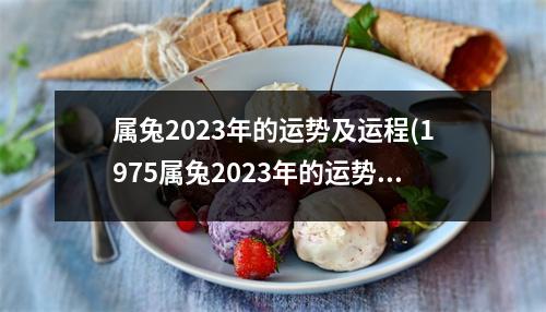 属兔2023年的运势及运程(1975属兔2023年的运势及运程)