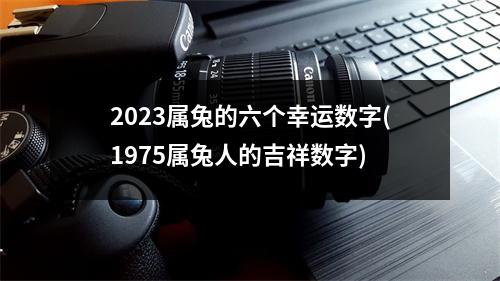 2023属兔的六个幸运数字(1975属兔人的吉祥数字)