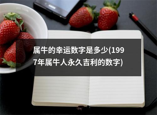 属牛的幸运数字是多少(1997年属牛人永久吉利的数字)