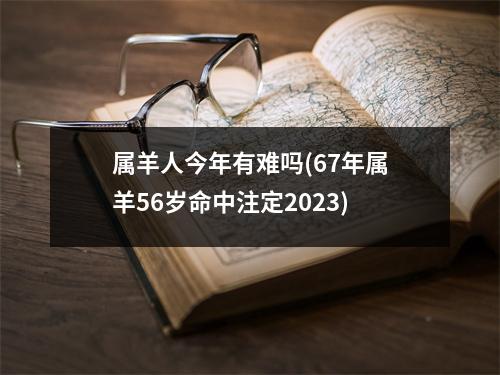 属羊人今年有难吗(67年属羊56岁命中注定2023)