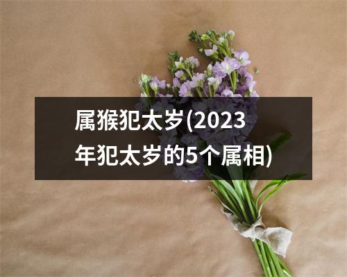 属猴犯太岁(2023年犯太岁的5个属相)