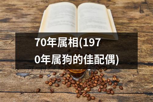 70年属相(1970年属狗的佳配偶)