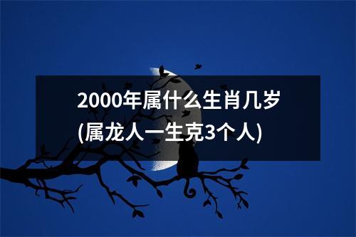 2000年属什么生肖几岁(属龙人一生克3个人)