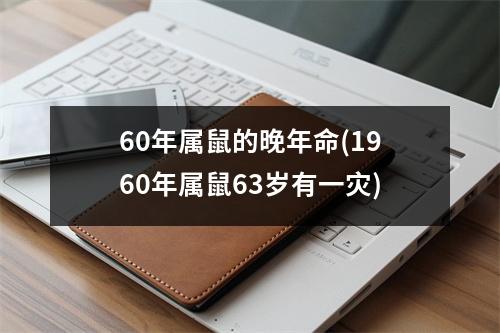 60年属鼠的晚年命(1960年属鼠63岁有一灾)