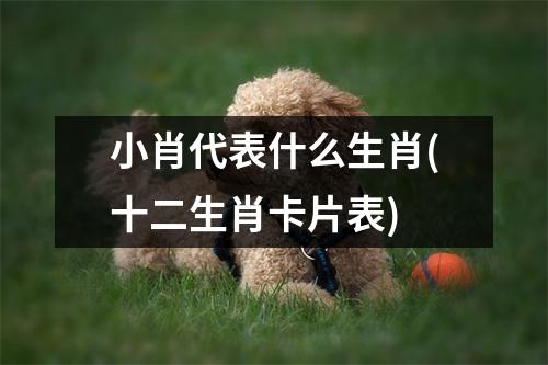 小肖代表什么生肖(十二生肖卡片表)