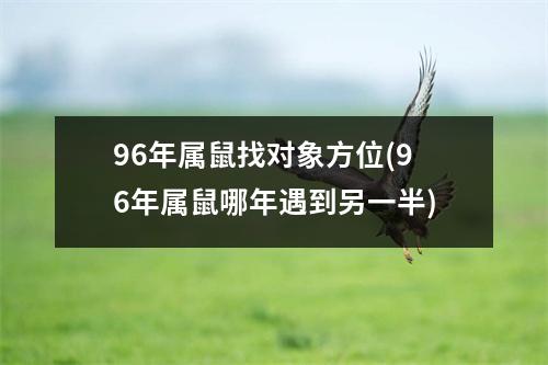 96年属鼠找对象方位(96年属鼠哪年遇到另一半)