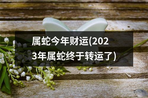 属蛇今年财运(2023年属蛇终于转运了)