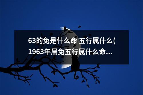 63的兔是什么命 五行属什么(1963年属兔五行属什么命)