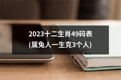 2023十二生肖49码表(属兔人一生克3个人)